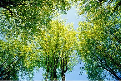 硬盘还吃得住吗？《使命召唤21》主机版需309GB